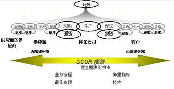 集成供應(yīng)鏈 軟件開發(fā)視角下的體系重構(gòu)與價(jià)值創(chuàng)造